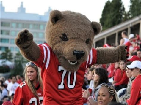 Reacting to Violence: How Do Sports Organizations Handle Assaults on Mascots?